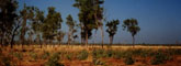 Wagiman country